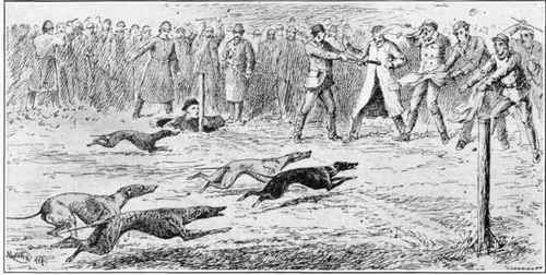 Finish in an Old time Whippet Race Meeting.