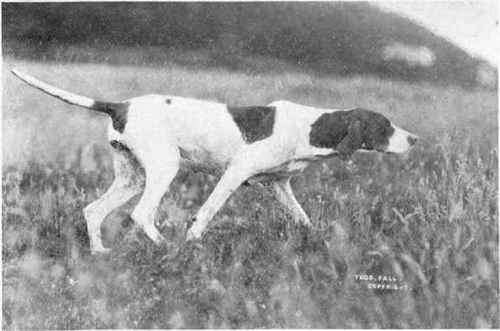 Pointer.