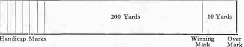 Whippet Dogs And Whippet Racing 198