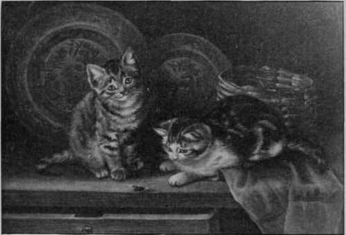 CATS.