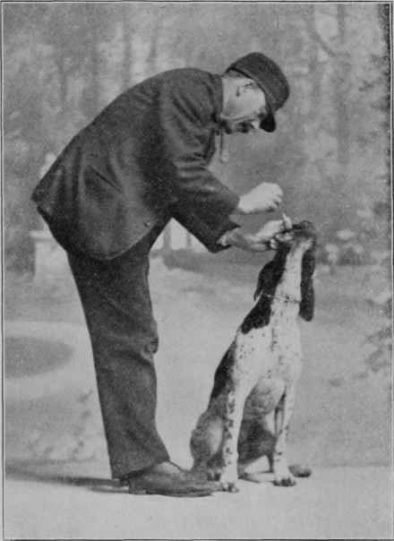 GIVING A DOG MEDICINE.