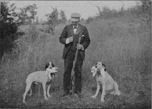 RETRIEVERS.
