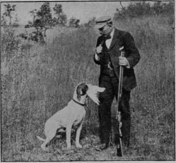 RETRIEVING A BIRD.
