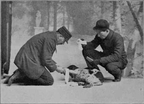 SETTING A BROKEN LIMB.