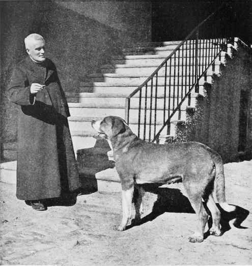 A Life Saving St. Bernard And His Master At The Historic Steps Of The St. Bernard Monastery: Switzerland.