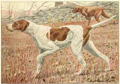 Pointer.