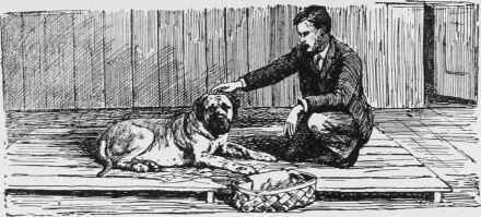 Treatment Of The Mother