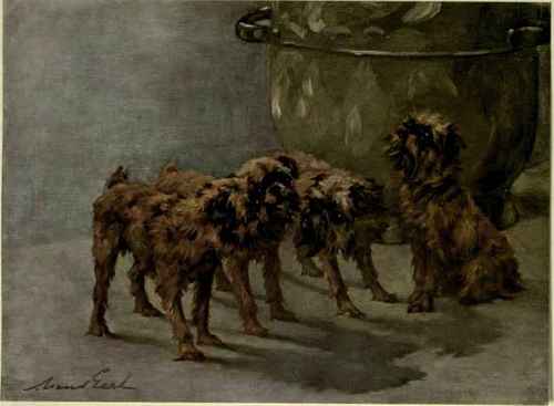 The Miniature Poodle