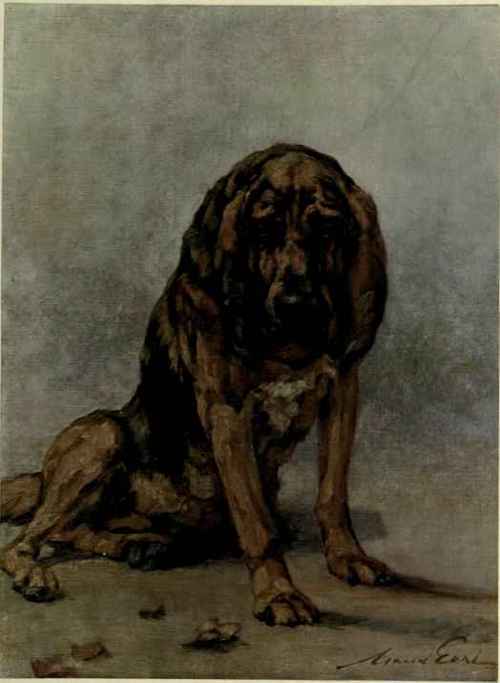 The Pointer
