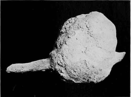CALCULI. Cystic Calculus having a piece of stick as a nucleus. Bladder of Horse.