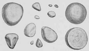 Concretions of Pus from the Guttural Pouches.