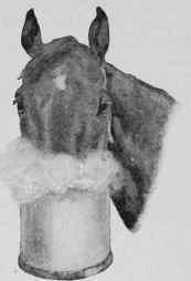 Fumigation of the Nostrils for Catarrh.