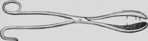 Spike faced Forceps.