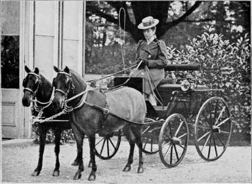 The same ponies in the hands of Mrs. Hope.