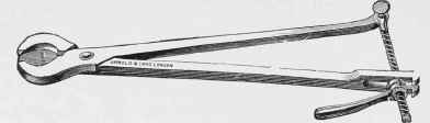 Tooth Shears.