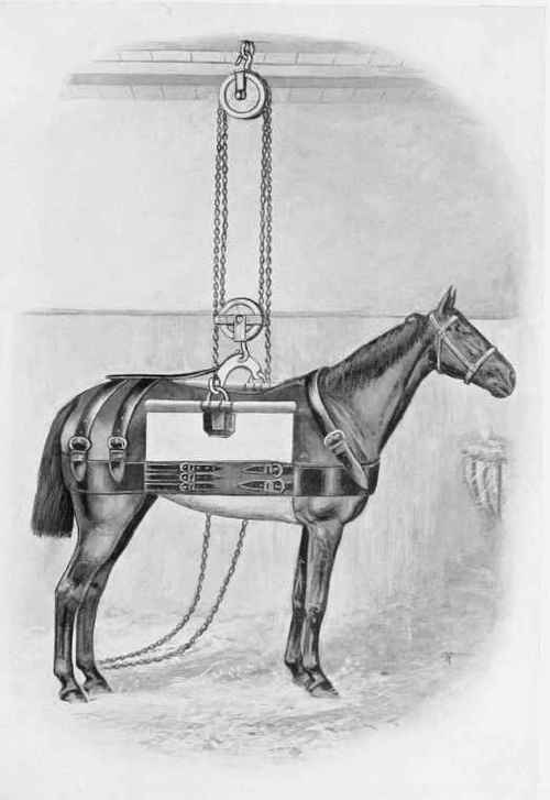 PATENT SLINGS.
