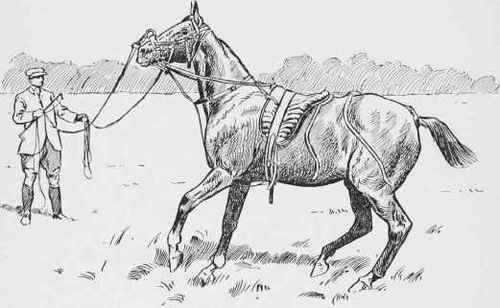 Lunging Tackle.