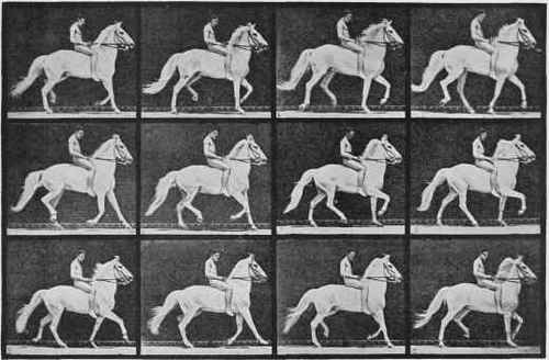 The Canter.