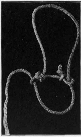 Making a Halter.