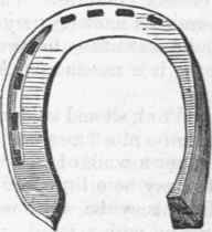 Cutting 18