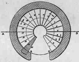 Fig. 213. Plan.