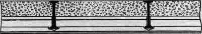 Fig. 244. Longitudinal Section.