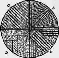 Conversion Of Oak 300265