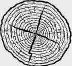Defects In Timber 300215