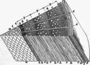 Timber Properties Of Timber 242
