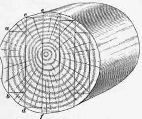 Timber Properties Of Timber Part 4 247