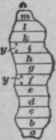 Irregular Areas 158