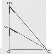 Fig. 116. Finding Bevels for Wreath of Fig. 115.