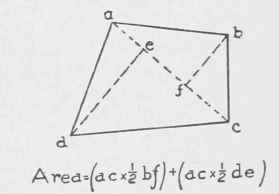 Measure Of Lines And Surface 0600374