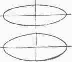 Fig. 6. Horizontal Circles.