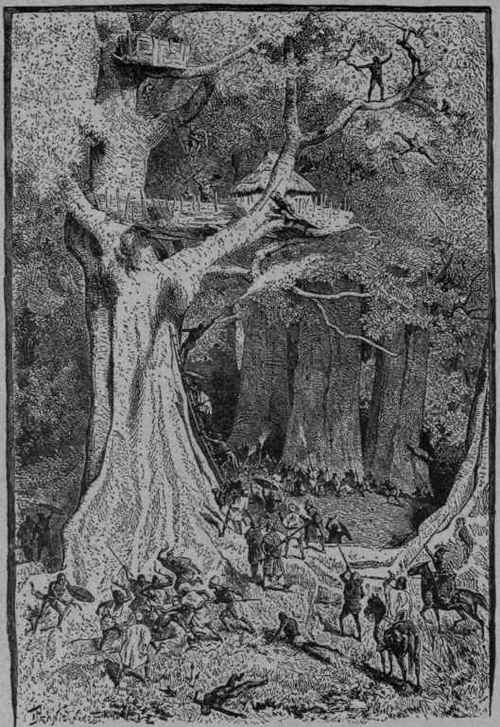 TREE DWELLINGS OF THE TRIBES OF CENTRAL AFRICA.