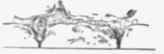 Fig. 31. Wall stones with Scamped Joints.