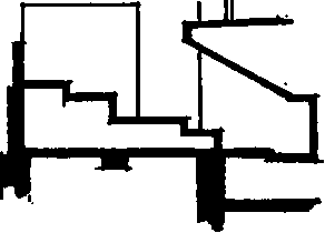 Longitudinal Section.