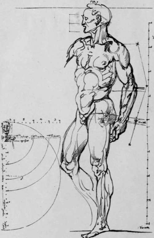Drawing by Michel Angelo Buonarrotti, from the copper engraving by Giov. Fabbri (Choulant).