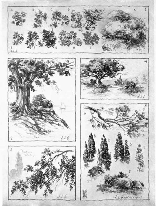 Some Methods of Suggesting Foliage.