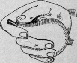 Fig. 35.