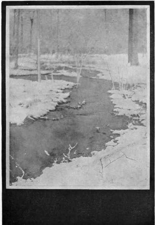 A WINTER STREAM Study No. 10 See Page 371 By R. E. Weeks