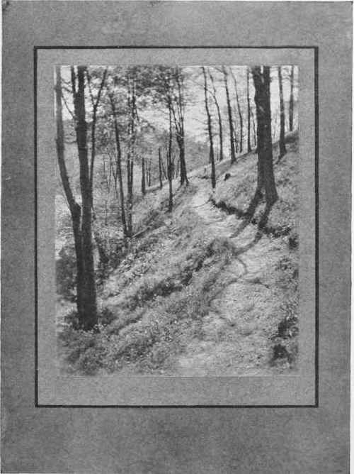 HILLSIDE PATH Study No. 36   See Page 312 By Wm. T. Knox
