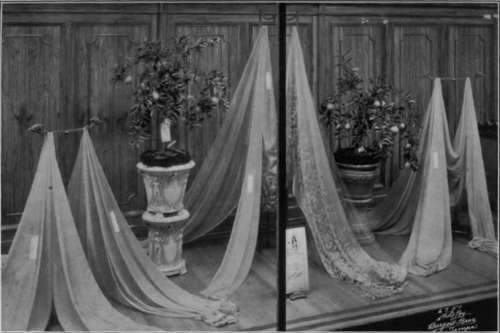 Print From Eastman Commercial Panchromatic Film Negative, Made Without A Filter 10 Minutes Exposure F.2s Stop.