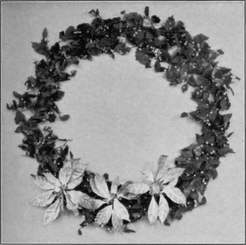 Print From Eastman Commercial Panchromatic Film Negative.