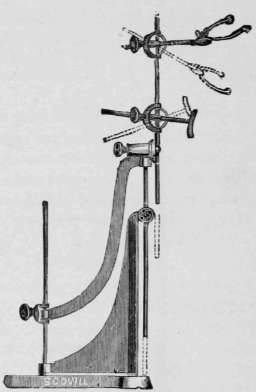 Spencer Head Rest