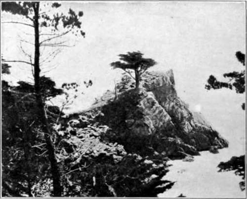 Fig. 80. Print Showing Empty Highlights.