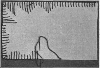 Fig. 239. Blanket stitch, detail.