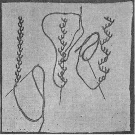 Fig. 241. Feather, briar or coral stitch.
