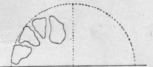 Fig.11. Section Of Transverse Arch