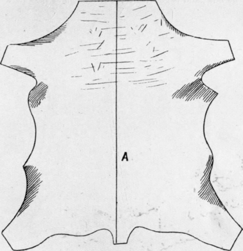 Fig. 160